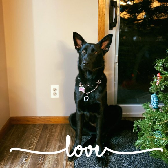 Meet your Posher, Lisa - Picture 1 of 1